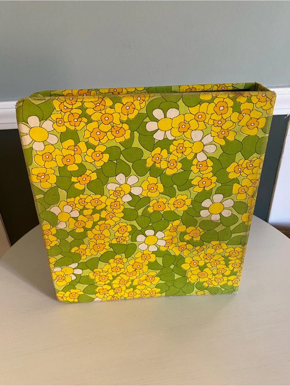 Vintage MCM HyTone Canvas 3 Ring Binder 3/4